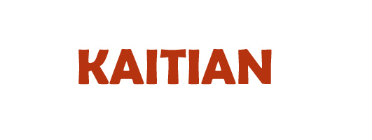 HUBEI KAITIAN ENVIRONMENTAL TECHNOLOGY CO., LTD